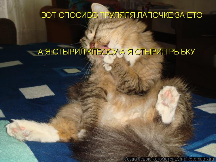 А Я СТЫРИЛ КЛБОСУ А Я СТЫРИЛ РЫБКУ ВОТ СПОСИБО ТРУЛЯЛЯ ЛАПОЧКЕ ЗА ЕТО... Котоматрица: А Я СТЫРИЛ КЛБОСУ А Я СТЫРИЛ РЫБКУ ВОТ СПОСИБО ТРУЛЯЛЯ ЛАПОЧКЕ ЗА ЕТО