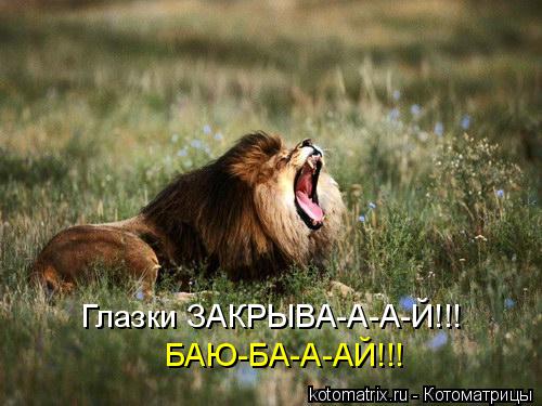 Глазки ЗАКРЫВА-А-А-Й!!! БАЮ-БА-А-АЙ!!!... Котоматрица: Глазки ЗАКРЫВА-А-А-Й!!! БАЮ-БА-А-АЙ!!!