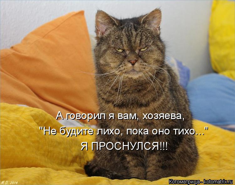 А говорил я вам, хозяева, "Не будите лихо, пока оно тихо..." Я ПРОСНУЛСЯ!!!... Котоматрица: А говорил я вам, хозяева, "Не будите лихо, пока оно тихо..." Я ПРОСНУЛСЯ!!!