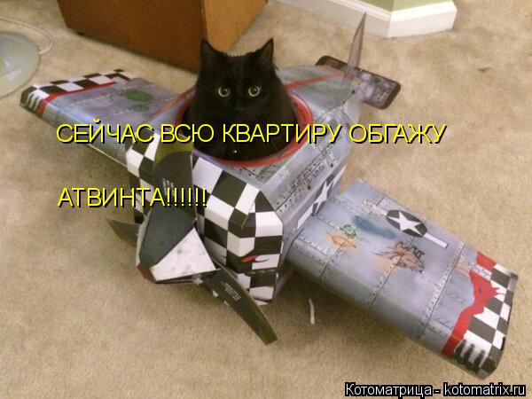 СЕЙЧАС ВСЮ КВАРТИРУ ОБГАЖУ АТВИНТА!!!!!!... Котоматрица: СЕЙЧАС ВСЮ КВАРТИРУ ОБГАЖУ АТВИНТА!!!!!!