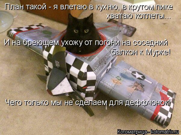План такой - я влетаю в кухню, в крутом пике хватаю котлеты... И на бреющем ухожу от погони на сосед... Котоматрица: План такой - я влетаю в кухню, в крутом пике хватаю котлеты... И на бреющем ухожу от погони на соседний балкон к Мурке! Чего только мы не сдела