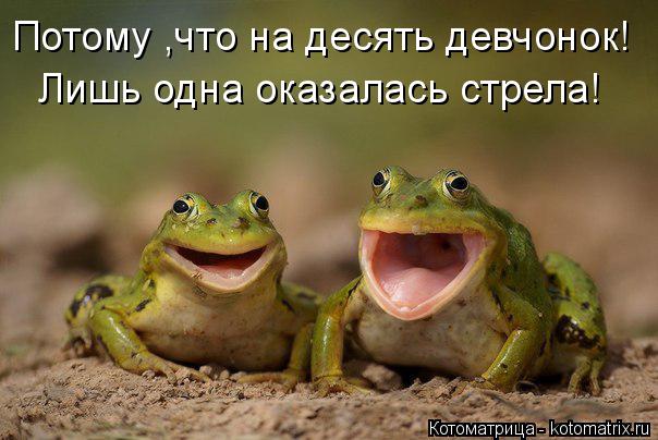 Котоматрица: Потому ,что на десять девчонок! Лишь одна оказалась стрела!