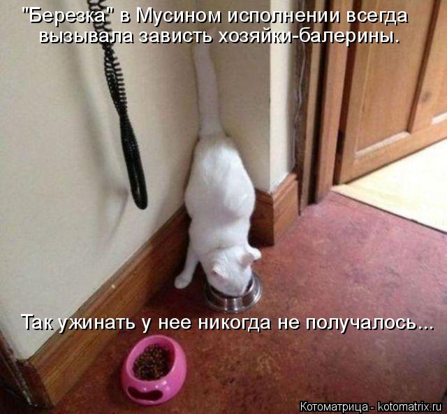 "Березка" в Мусином исполнении всегда вызывала зависть хозяйки-балерины. Так ужинать у нее никогда н... Котоматрица: "Березка" в Мусином исполнении всегда вызывала зависть хозяйки-балерины. Так ужинать у нее никогда не получалось...