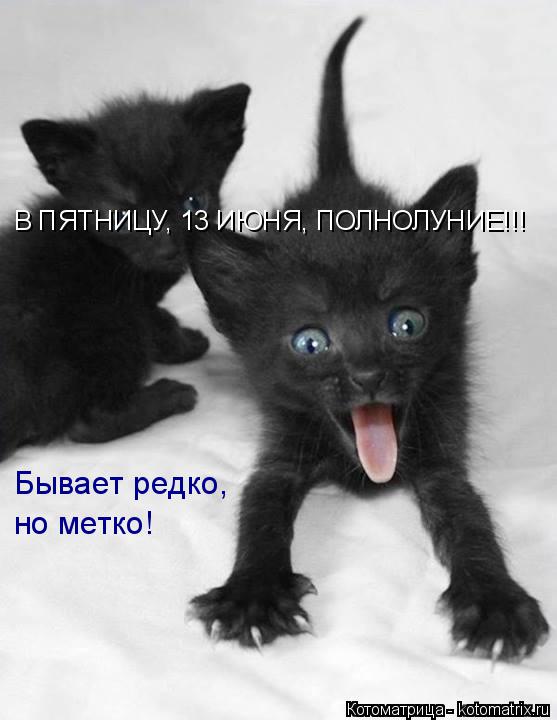 В ПЯТНИЦУ, 13 ИЮНЯ, ПОЛНОЛУНИЕ!!! Бывает редко, но метко!... Котоматрица: В ПЯТНИЦУ, 13 ИЮНЯ, ПОЛНОЛУНИЕ!!! Бывает редко, но метко!