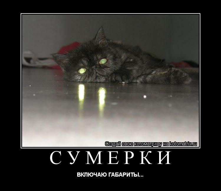 СУМЕРКИ ВКЛЮЧАЮ ГАБАРИТЫ...... Котоматрица: СУМЕРКИ ВКЛЮЧАЮ ГАБАРИТЫ...