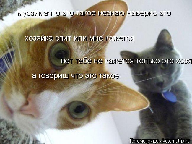 мурзик ачто это такое незнаю наверно это хозяйка спит или мне кажется нет тебе не кажется только это... Котоматрица: мурзик ачто это такое незнаю наверно это хозяйка спит или мне кажется нет тебе не кажется только это хозяин а говориш что это такое
