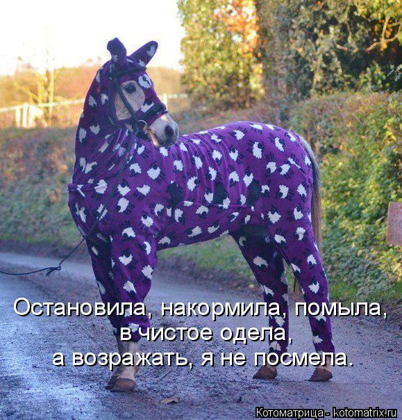 Остановила, накормила, помыла, в чистое одела, а возражать, я не посмела.... Котоматрица: Остановила, накормила, помыла, в чистое одела, а возражать, я не посмела.