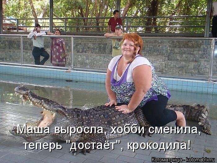 Маша выросла, хобби сменила, теперь "достаёт", крокодила!... Котоматрица: Маша выросла, хобби сменила, теперь "достаёт", крокодила!