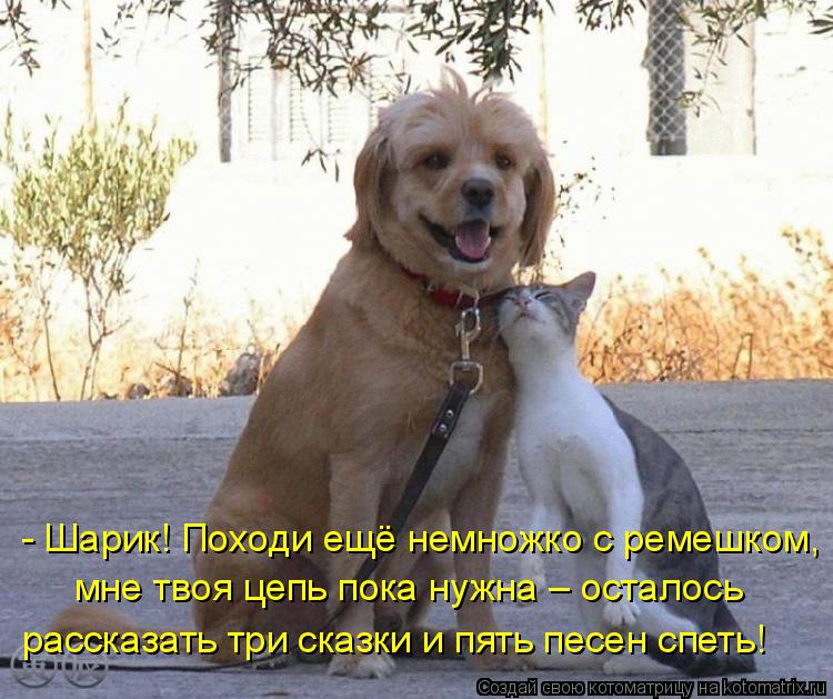 - Шарик! Походи ещё немножко с ремешком, мне твоя цепь пока нужна – осталось рассказать три сказки и ... Котоматрица: - Шарик! Походи ещё немножко с ремешком, мне твоя цепь пока нужна – осталось рассказать три сказки и пять песен спеть!