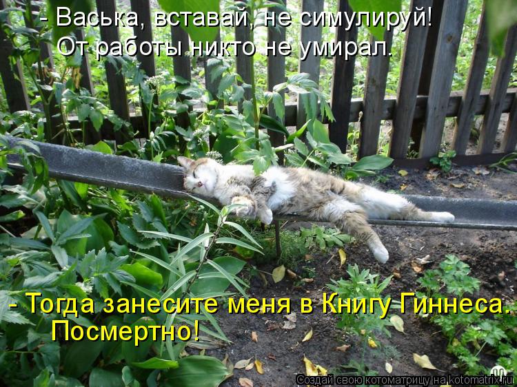 - Васька, вставай, не симулируй! От работы никто не умирал. Посмертно! - Тогда занесите меня в Книгу ... Котоматрица: - Васька, вставай, не симулируй! От работы никто не умирал. Посмертно! - Тогда занесите меня в Книгу Гиннеса.