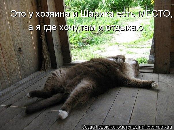 Котоматрица: Это у хозяина и Шарика есть МЕСТО, а я где хочу,там и отдыхаю.