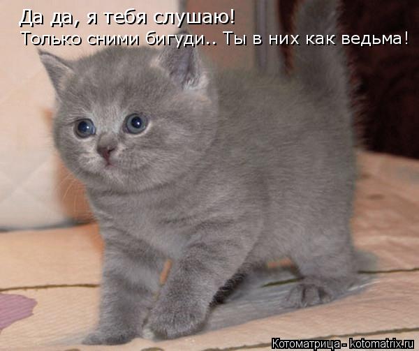 Да да, я тебя слушаю! Только сними бигуди.. Ты в них как ведьма!... Котоматрица: Да да, я тебя слушаю! Только сними бигуди.. Ты в них как ведьма!