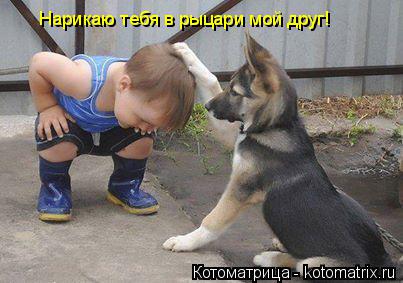 Нарикаю тебя в рыцари мой друг!... Котоматрица: Нарикаю тебя в рыцари мой друг!