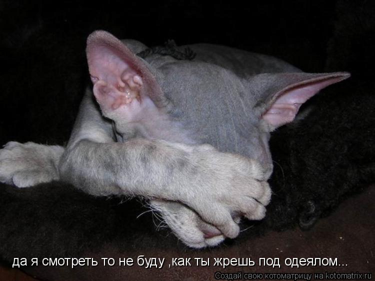 Котоматрица: да я смотреть то не буду ,как ты жрешь под одеялом...