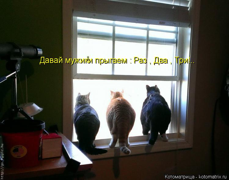 Давай мужики прыгаем : Раз , Два , Три!..... Котоматрица: Давай мужики прыгаем : Раз , Два , Три!..