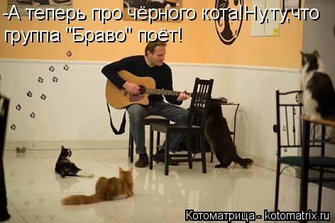 -А теперь про чёрного кота!Ну,ту,что группа "Браво" поёт!... Котоматрица: -А теперь про чёрного кота!Ну,ту,что группа "Браво" поёт!