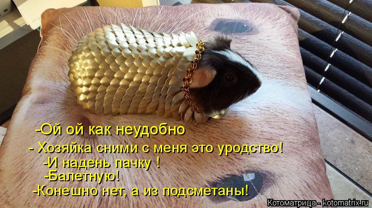 -Ой ой как неудобно - Хозяйка сними с меня это уродство! -И надень пачку ! -Конешно нет, а из подсмет... Котоматрица: -Ой ой как неудобно - Хозяйка сними с меня это уродство! -И надень пачку ! -Конешно нет, а из подсметаны! -Балетную!