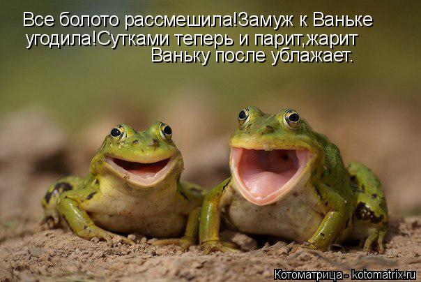 Котоматрица: Все болото рассмешила!Замуж к Ваньке  угодила!Сутками теперь и парит,жарит Ваньку после ублажает.