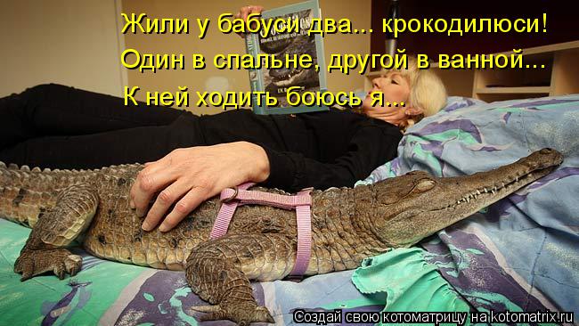 Жили у бабуси два... крокодилюси! Один в спальне, другой в ванной... К ней ходить боюсь я...... Котоматрица: Жили у бабуси два... крокодилюси! Один в спальне, другой в ванной... К ней ходить боюсь я...