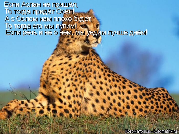 Если Аслан не пришёл, То тогда придёт Осёл! А с Ослом нам плохо будет, То тогда его мы лупим! Если ре... Котоматрица: Если Аслан не пришёл, То тогда придёт Осёл! А с Ослом нам плохо будет, То тогда его мы лупим! Если речь и не о нём, мы уедим лучше днём!