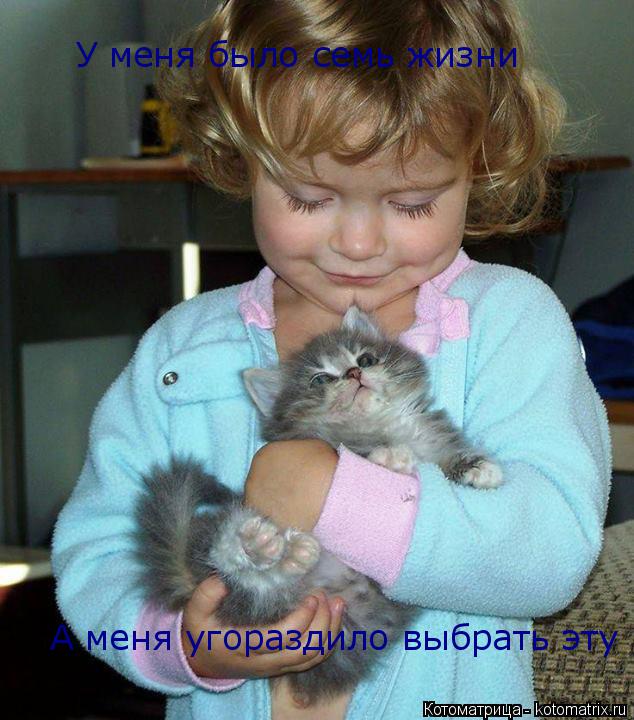 У меня было семь жизни А меня угораздило выбрать эту... Котоматрица: У меня было семь жизни А меня угораздило выбрать эту