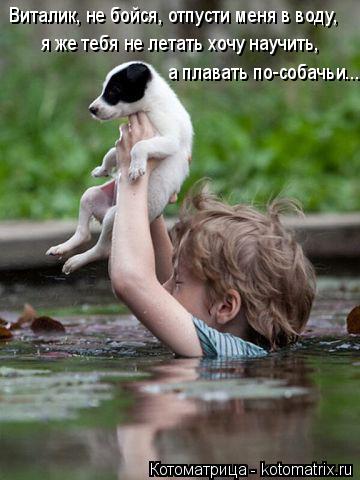 Котоматрица: Виталик, не бойся, отпусти меня в воду, я же тебя не летать хочу научить, а плавать по-собачьи...
