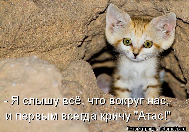 - Я слышу всё, что вокруг нас, и первым всегда кричу "Атас!"... Котоматрица: - Я слышу всё, что вокруг нас, и первым всегда кричу "Атас!"