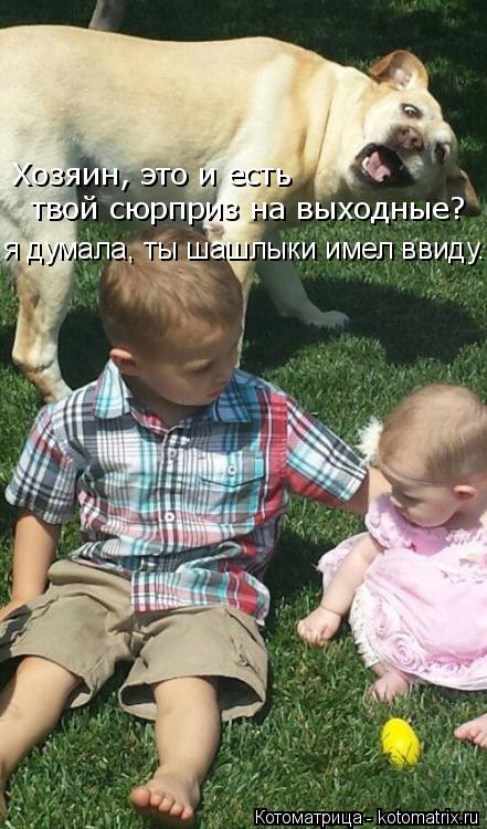 Котоматрица: Хозяин, это и есть  твой сюрприз на выходные? я думала, ты шашлыки имел ввиду...