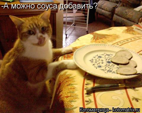 -А можно соуса добавить?... Котоматрица: -А можно соуса добавить?