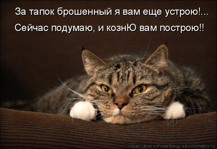За тапок брошенный я вам еще устрою!... Сейчас подумаю, и кознЮ вам построю!!... Котоматрица: За тапок брошенный я вам еще устрою!... Сейчас подумаю, и кознЮ вам построю!!