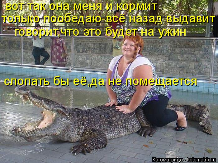 вот так она меня и кормит только пообедаю-всё назад выдавит говорит,что это будет на ужин слопать бы ... Котоматрица: вот так она меня и кормит только пообедаю-всё назад выдавит говорит,что это будет на ужин слопать бы её,да не помещается