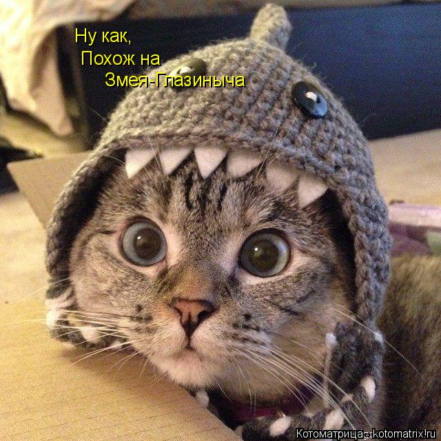 Ну как, Похож на Змея-Глазиныча... Котоматрица: Ну как, Похож на Змея-Глазиныча