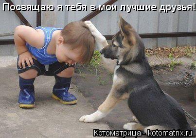 Посвящаю я тебя в мои лучшие друзья!... Котоматрица: Посвящаю я тебя в мои лучшие друзья!