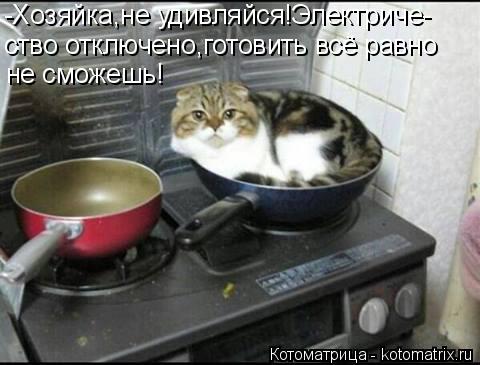-Хозяйка,не удивляйся!Электриче- ство отключено,готовить всё равно не сможешь!... Котоматрица: -Хозяйка,не удивляйся!Электриче- ство отключено,готовить всё равно не сможешь!