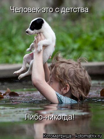 Котоматрица: Человек-это с детства Либо-никогда!