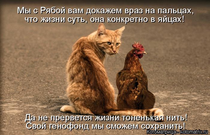Мы с Рябой вам докажем враз на пальцах, что жизни суть, она конкретно в яйцах! Да не прервется жизни ... Котоматрица: Мы с Рябой вам докажем враз на пальцах, что жизни суть, она конкретно в яйцах! Да не прервется жизни тоненькая нить! Свой генофонд мы сможем с