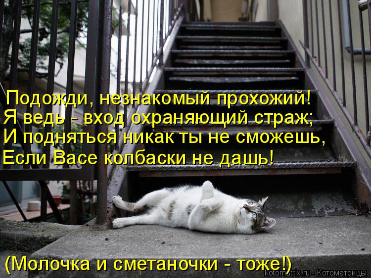(Молочка и сметаночки - тоже!) Если Васе колбаски не дашь! И подняться никак ты не сможешь, Я ведь - ... Котоматрица: (Молочка и сметаночки - тоже!) Если Васе колбаски не дашь! И подняться никак ты не сможешь, Я ведь - вход охраняющий страж; Подожди, незнакомый