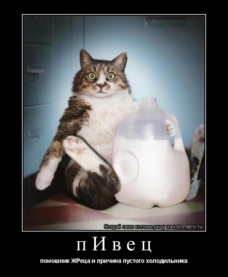 пИвец помошник ЖРеца и причина пустого холодильника... Котоматрица: пИвец помошник ЖРеца и причина пустого холодильника