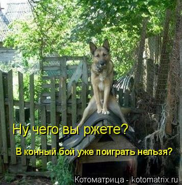 Ну чего вы ржете? В конный бой уже поиграть нельзя?... Котоматрица: Ну чего вы ржете? В конный бой уже поиграть нельзя?