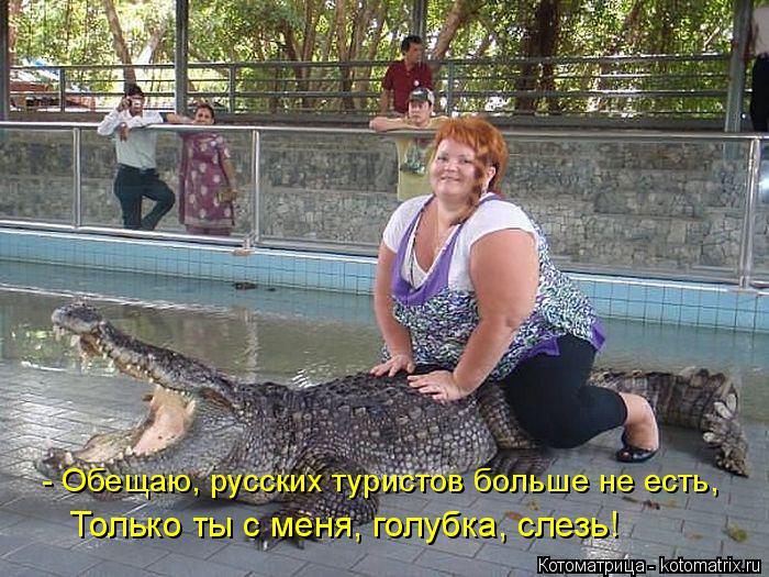 Только ты с меня, голубка, слезь! - Обещаю, русских туристов больше не есть,... Котоматрица: Только ты с меня, голубка, слезь! - Обещаю, русских туристов больше не есть,
