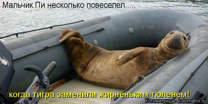 Мальчик Пи несколько повеселел..... когда тигра заменили жирненьким тюленем!... Котоматрица: Мальчик Пи несколько повеселел..... когда тигра заменили жирненьким тюленем!