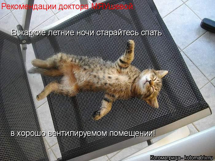 Рекомендации доктора МЯУшевой: В жаркие летние ночи старайтесь спать в хорошо вентилируемом помещении... Котоматрица: Рекомендации доктора МЯУшевой: В жаркие летние ночи старайтесь спать в хорошо вентилируемом помещении!
