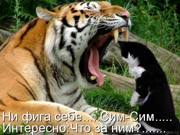 Интересно:Что за ним?....... Интересно:Что за ним?....... Ни фига себе.....Сим-Сим..... Ни фига себе.... Котоматрица: Интересно:Что за ним?....... Интересно:Что за ним?....... Ни фига себе.....Сим-Сим..... Ни фига себе.....Сим-Сим.....