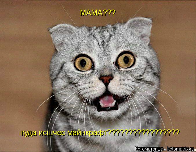 МАМА??? куда исшчес майнкрафт?????????????????... Котоматрица: МАМА??? куда исшчес майнкрафт?????????????????