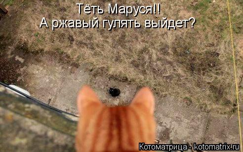 Тёть Маруся!! А ржавый гулять выйдет?... Котоматрица: Тёть Маруся!! А ржавый гулять выйдет?