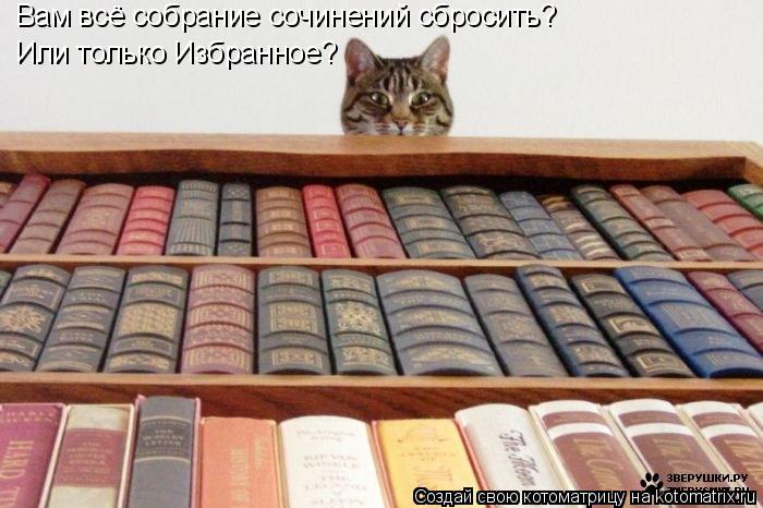 Вам всё собрание сочинений сбросить? Или только Избранное?... Котоматрица: Вам всё собрание сочинений сбросить? Или только Избранное?