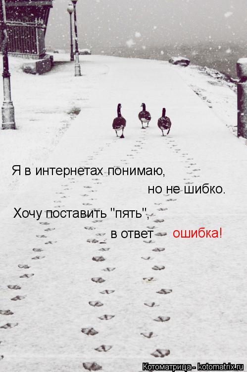 Я в интернетах понимаю, но не шибко. Хочу поставить "пять", в ответ ошибка!... Котоматрица: Я в интернетах понимаю, но не шибко. Хочу поставить "пять", в ответ ошибка!