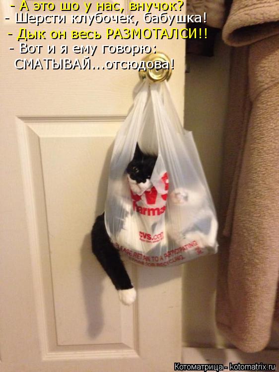 - А это шо у нас, внучок? - Шерсти клубочек, бабушка! - Дык он весь РАЗМОТАЛСИ!! - Вот и я ему говорю... Котоматрица: - А это шо у нас, внучок? - Шерсти клубочек, бабушка! - Дык он весь РАЗМОТАЛСИ!! - Вот и я ему говорю: СМАТЫВАЙ...отсюдова!