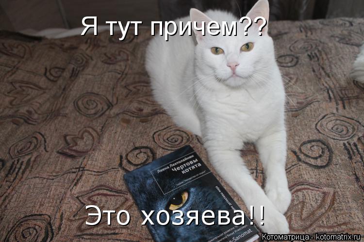 Я тут причем?? Это хозяева!!... Котоматрица: Я тут причем?? Это хозяева!!