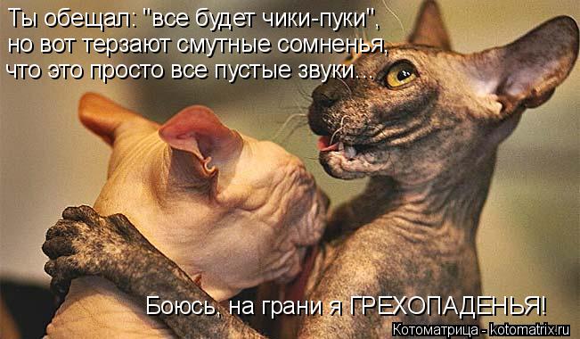 Котоматрица: Ты обещал: "все будет чики-пуки",  но вот терзают смутные сомненья,  что это просто все пустые звуки... Боюсь, на грани я ГРЕХОПАДЕНЬЯ!